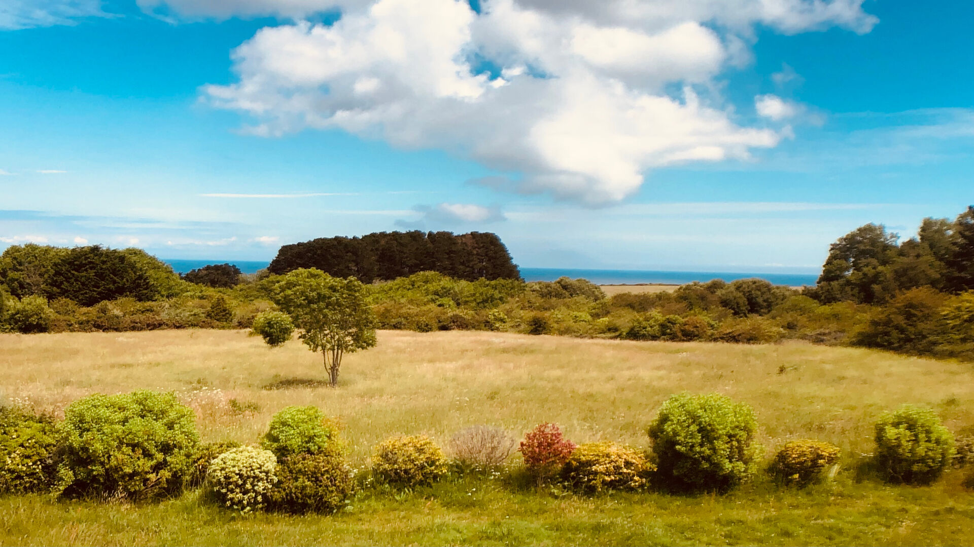 L'agence de l'océan vous propose cette maison à vendre à belle-ile-en-mer
