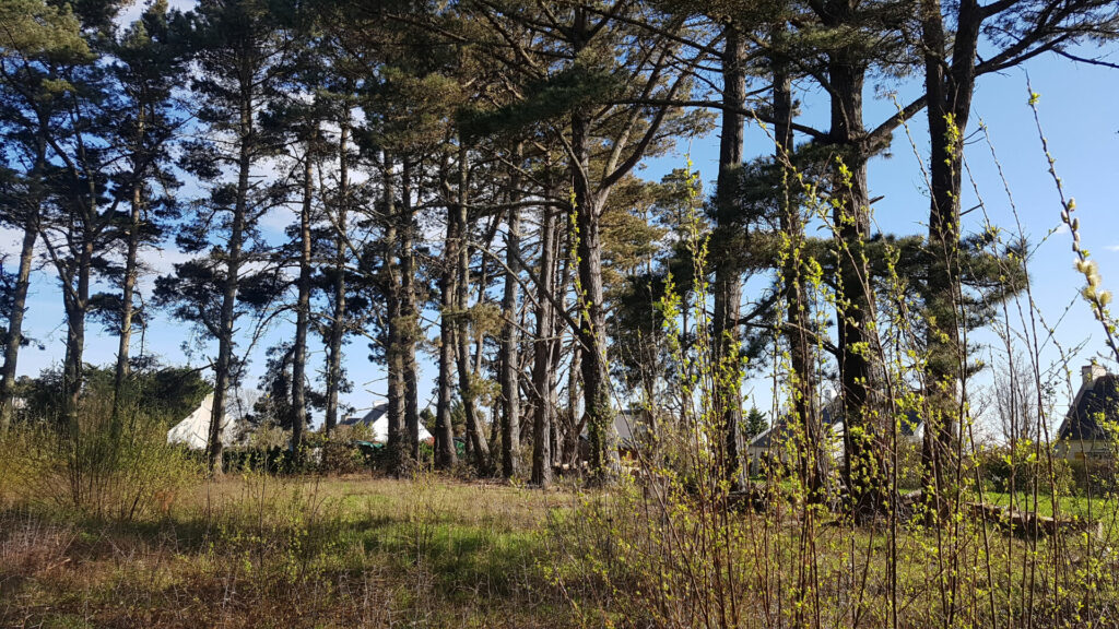 L'agence de l'océan vous propose cette maison à vendre à belle-ile-en-mer