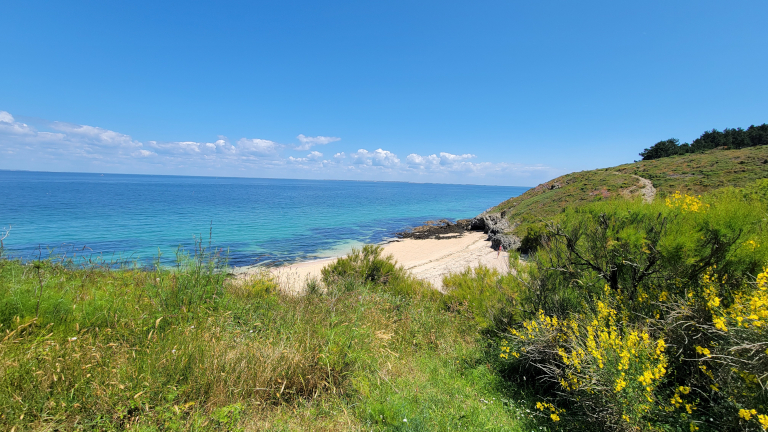 Fort de la biche à Belle-Île-en-Mer